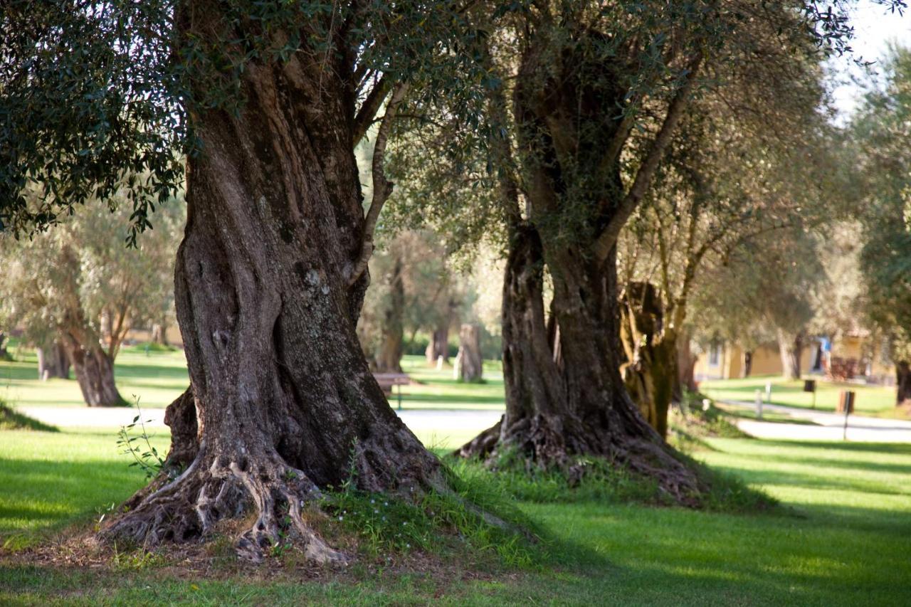 Uliveto Principessa Resort Cittanova (Calabria) Exterior foto
